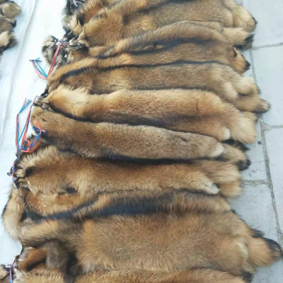 China Factory Wholesale 90cm Real Animal Fur Raccoon Fur Hide Raccoon Fur