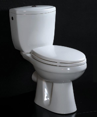 Siphonic one piece toilet