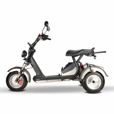Factory Wholesale Electric Tricycle Newest Model HM7.0 Flexible Dual Strong Powerful Motor 3000W Customized Colors Off-Road Tire