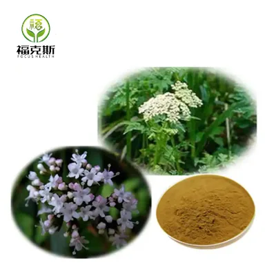 High Quality Pure Relax Sleep Aid Valerian Extract Valeriana Officinalis Root Extract Powder