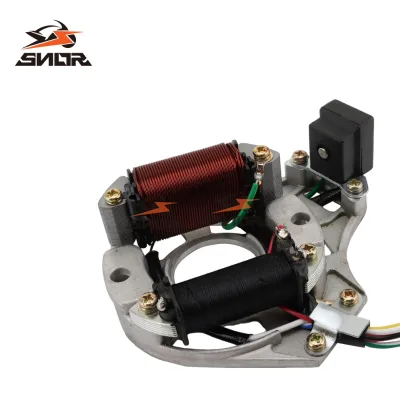 SNOR DY100 ATV Motorcycle Scooter Ignition Magneto Generator Stator Coil Assembly for LF100 Lifan Pit Bike Quad