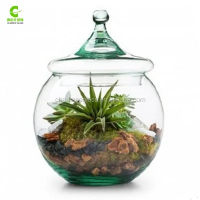 Glass Globe Terrarium Kit - Unique Gift