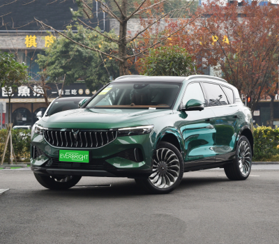LOW PRICE & Low Fuel Consumption Voyah Free Hybrid Car Max Speed 200km/h Max Torque 520N.m Max Cruising Range 140km and Sunroof
