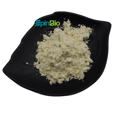 High Purity Odorless Garlic Extract Allicin 10910ppm Fine Powder 80 Mesh GMO Free Garlic Bulb Extract for Health Supplement