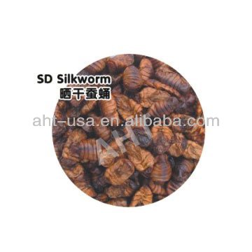Sun Dried Silkworm Pupae