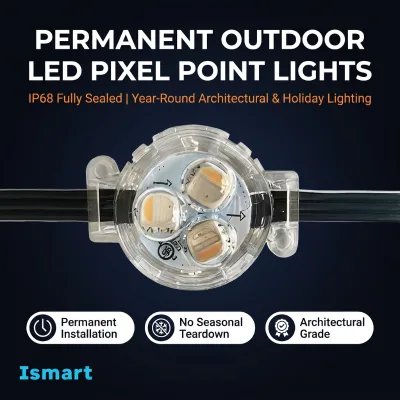 Color Changing Alexa Google Compatible Permanent Outdoor Lights 30mm Module 12V 24V IP68 for Garden Decoration