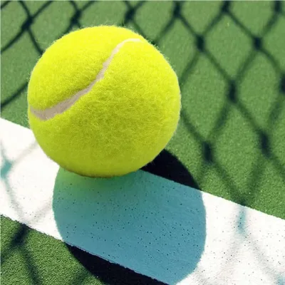 Padel Ball Chemical Fiber+Natural Rubber Padel Ball High Rebound Padel Tennis Ball