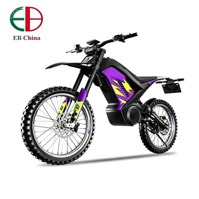 72V 8000W Brushless Motor Off-Road Electric Motorcycle Max Speed 80 Km/h