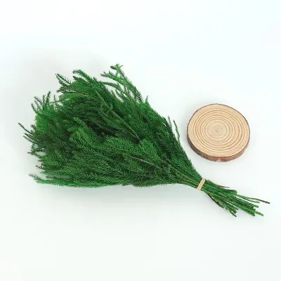 New Product Ideas 2023 Preserved Flower Club Moss for All Kinds Festival Decoration Club Moss
