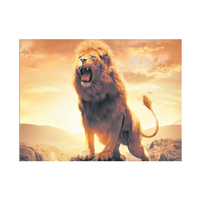 lion Head Animal Art Photo 3d Art Picture