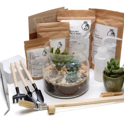 Valentine's Day DIY Terrarium Kit with H24cm Made of Glass