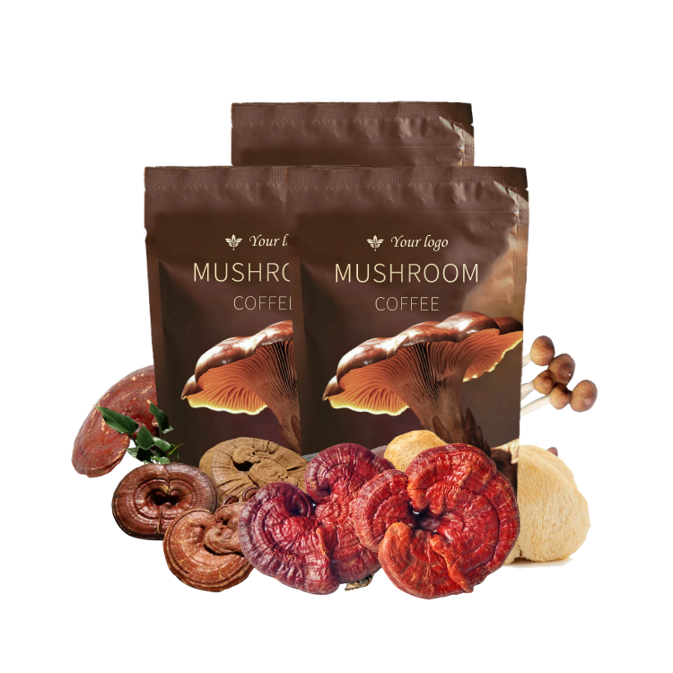 Esurey Supply Hot Selling MUSHROOM COFFEE Organic Mushroom Coffee Powder  OEM/ODM Mushroom Coffee Powder In Bulk