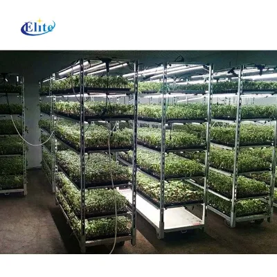 Danish Plant Flower Trolleys Wholesale Zinc Steel Multi-layer Cc Cart for Sale