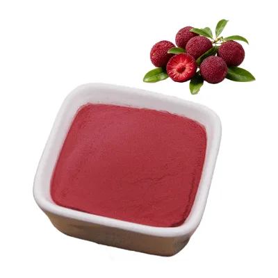 Supply High Quality Waxberry Extract Natural Waxberry Powder Waxberry Juice Powder
