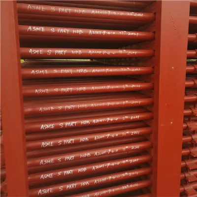 ASME Standard Bare Tube Superheater and Reheater Steam Hot Water Boiler Flue Gas Carbon Steel Waste Heat Incineration