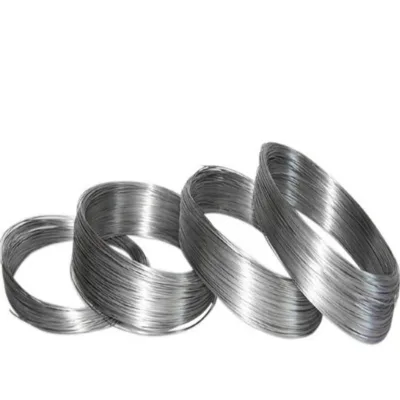 ASTM A295 SAE 52100 High Carbon Anti-Friction Bearing Drawn Wire