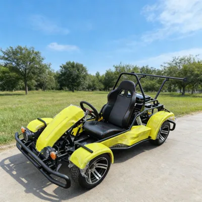 200CC 4 Stroke Pedal Go Kart All-Terrain Off-Road Fuel-Powered Outdoor Drifting Vehicle for Adults & Children 75km/h Max Speed