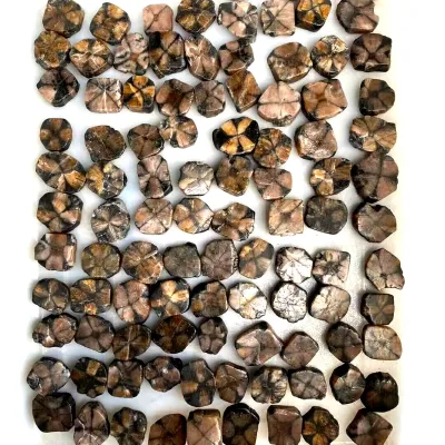 New Arrival Chiastolite Slice Cross Stone Slice