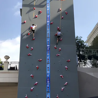 Official Match Grade Speed Climbing Wall
