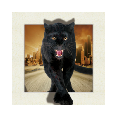 High Quality Factory Price Offset Printing Leopard Animal Poster Home Decor Paper Base Waterproof Eco-Friendly Lens Brand