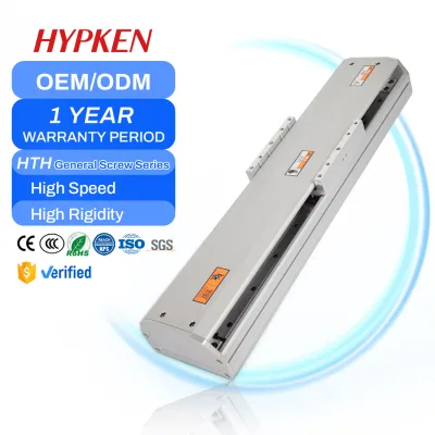 Heavy Duty Stainless Steel 25Mm Bearing 10 Inch Cylinders Rail 1000Mm Actuator Diy Flat Bellow Cover Electric Guide Motor 2000Mm