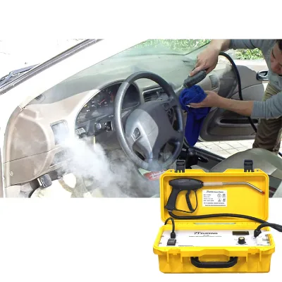 Best Price Continue Work 6 Hours Mobile Car Detailing High Pressure Dry and Wet Steam Car Washer