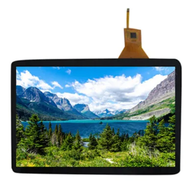 10.1-inch capacitive touch panel with active area of 219.42x137.6mm