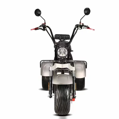Hot Selling COC EEC Popular Model Electric Trike With Rear Swinging Wheel Powerful Dutral Motor 4000W Tricycle Mid Drive Scooter