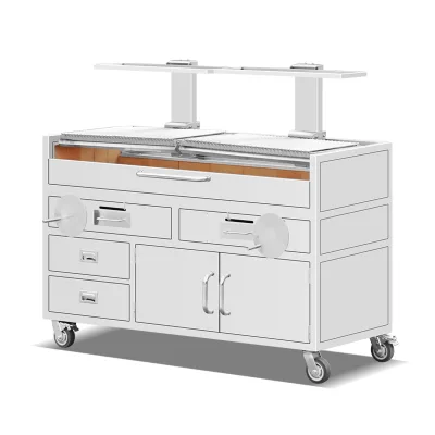Dual Zone Santa Maria Argentine Charcoal Grill Commercial Stainless Steel BBQ Cart Height Adjustable Steak Roaster for Catering