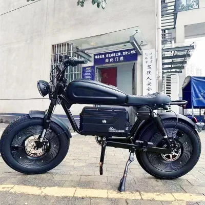 Best Quality 20 Wheel 1500 Watt Off-Road E-Bike Electric Mountain Bike with Aluminum Alloy Fork Two-Wheel Drive Electric Bike