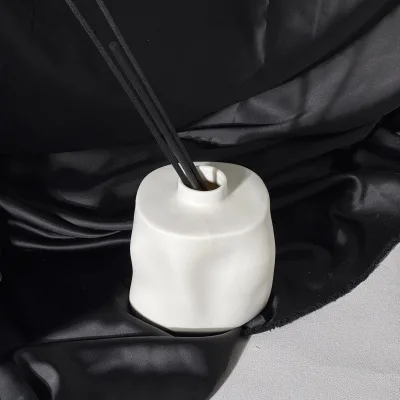 Matte Ceramic Craft Eco Friendly Reusable Custom Printed Logo Annual Living Room Decoration Luxury Ceramic Diffuser