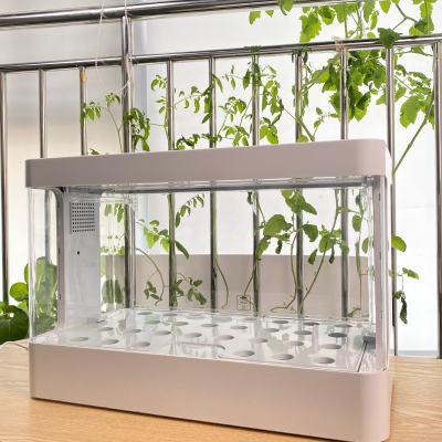 Homemade Hydroponics Solution and Hydroponics for Home Gardeners