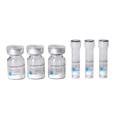 Recombinant Human HDGF