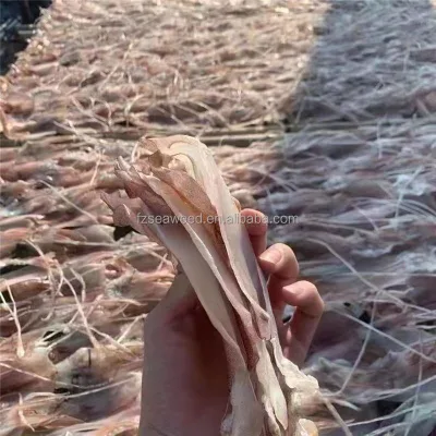 Export Quality Whole Dried Squid, Cleaned and Sun-Dried, Perfect for Cooking