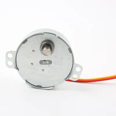 CIXI Manufacturer Synchronous Motor 49TYJ 5-6RPM 220V for Electric Heater