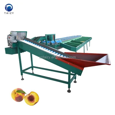 Industrial Fish Sorter Weight Sorting Machine Avocado Grading Machine