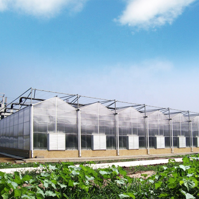 Backyard Polycarbonate Greenhouses Frame Structure