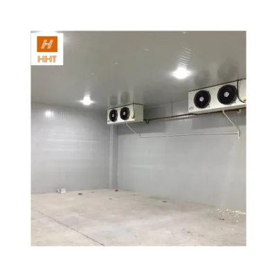 Commercial Cooling System Cold Storage Fast Freezing for Meat Broccoli Storage Cold Room