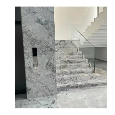 Brazil Bubble Grey Natural Stone Kitchen Countertop Modern Style Super White Slab Dining Application Hot Sale Quartzite