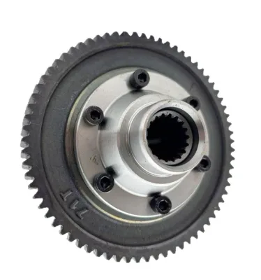 55*18 63*18 71*18 Wheel Rim Gears Inside the Gearbox of an Electric Tricycle Motor