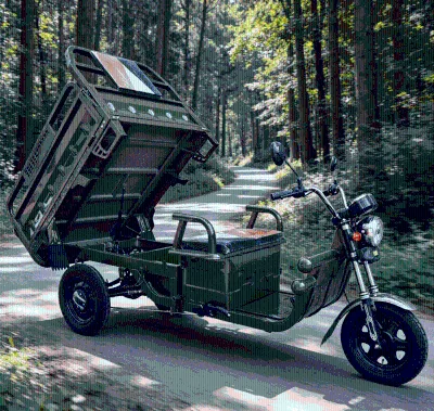Romania Warehouse Heavy Duty Electric Tricycle EEC COC Certified Open Body 1000W for Brick Sand Building Material Delivery
