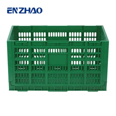 Hot Sale Foldable Milk Egg Beer Bottle Water Bottle Crate Polypropylene Plastic Crate for Storage and Transport