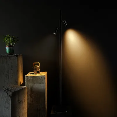 Sleek Design Dual-Head LED Floor Spotlight Swivel Lamp Heads High CRI Accent Floor Luminaire for Household Living Room Lighting