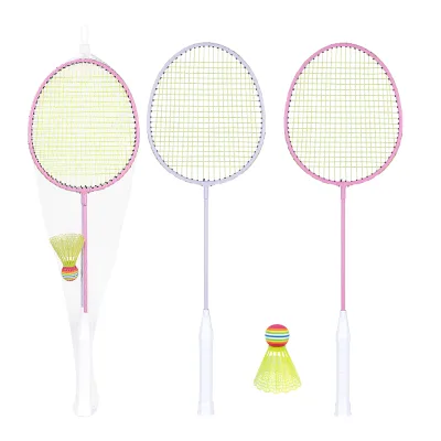 Clearance Sale Original Factory Direct Sale Wholesale Custom Steel Cheap Anyball Badminton Shuttlecock Rackets Set