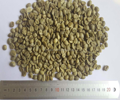 Chinese Yunnan Green Coffee Beans,screen 17 Up,grade AA,arabica Coffee Beans