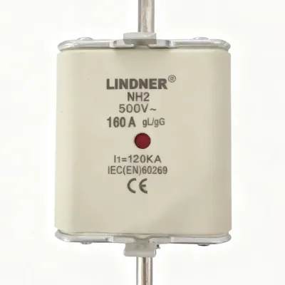 LINDER NH2 Ceramic Copper Fuse Link with 120KA Breaking Capacity and CE Certification