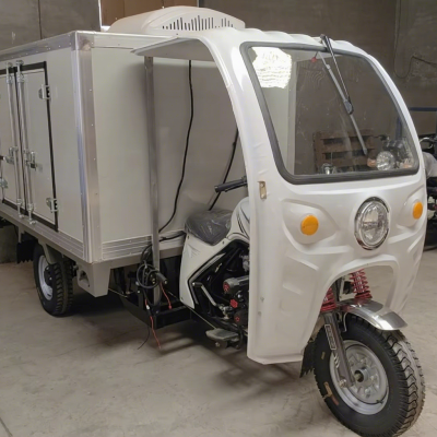 Insulated Cargo Refrigerated Sealed Cooling Compartment Weather Resistant Body for Fresh Food Goods Transport Fuel Tricycle