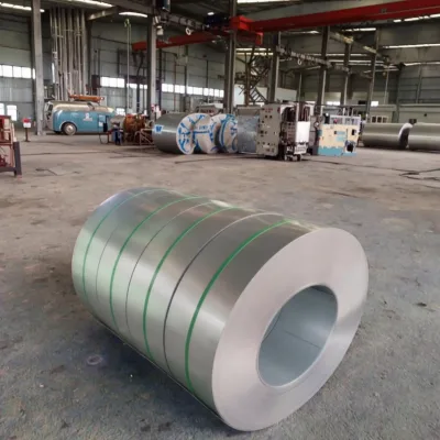 Shuding Industrial ASTM Standard 240 AiSi 321 200 300 400 500 600 Series 316 Hl Cold Rolled Stainless Steel Coil 430