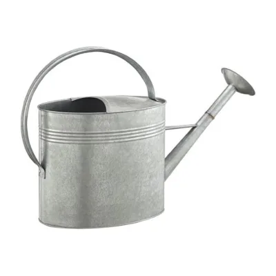 Wholesale Manufacturer 9L Galvanized Steel Powder Coated Deluxe Watering Can Long Spout Removable Rose for Outdoor Garden Use
