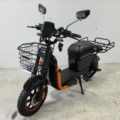 WENBOX U1 Professional Electric Bike 60V 16-inch Dual Wheels Four Shock Absorbers Rear Hub Motor Digital 180 km